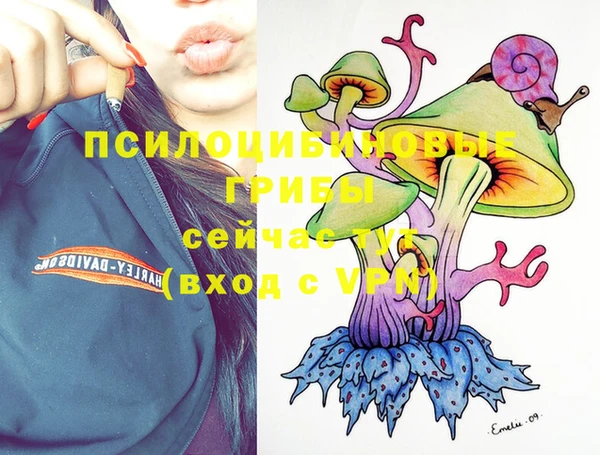 СК Абдулино