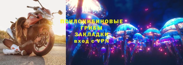 apvp Покачи
